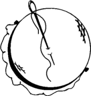 ECRAO009