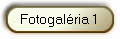 Fotogalria 1